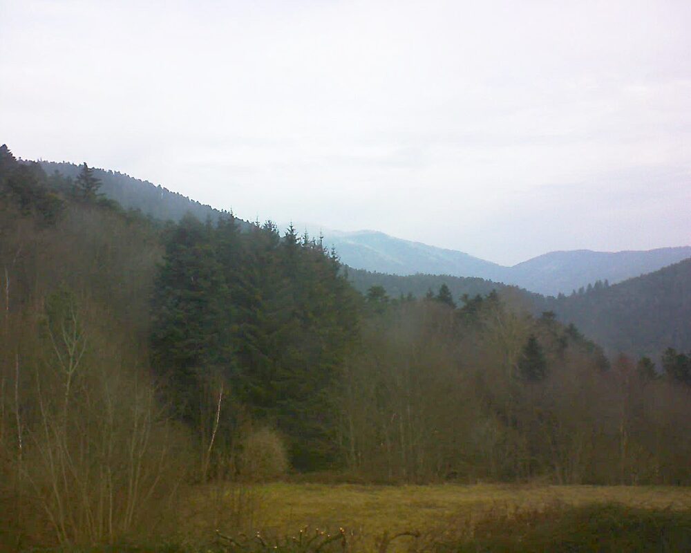 Le petit ballon vu depuis le Domaine Langmatt à Murbach le 07.02.2025 à 10:15 Le petit ballon (Alsace, Vosges) le 07.02.2025 à 10:15
