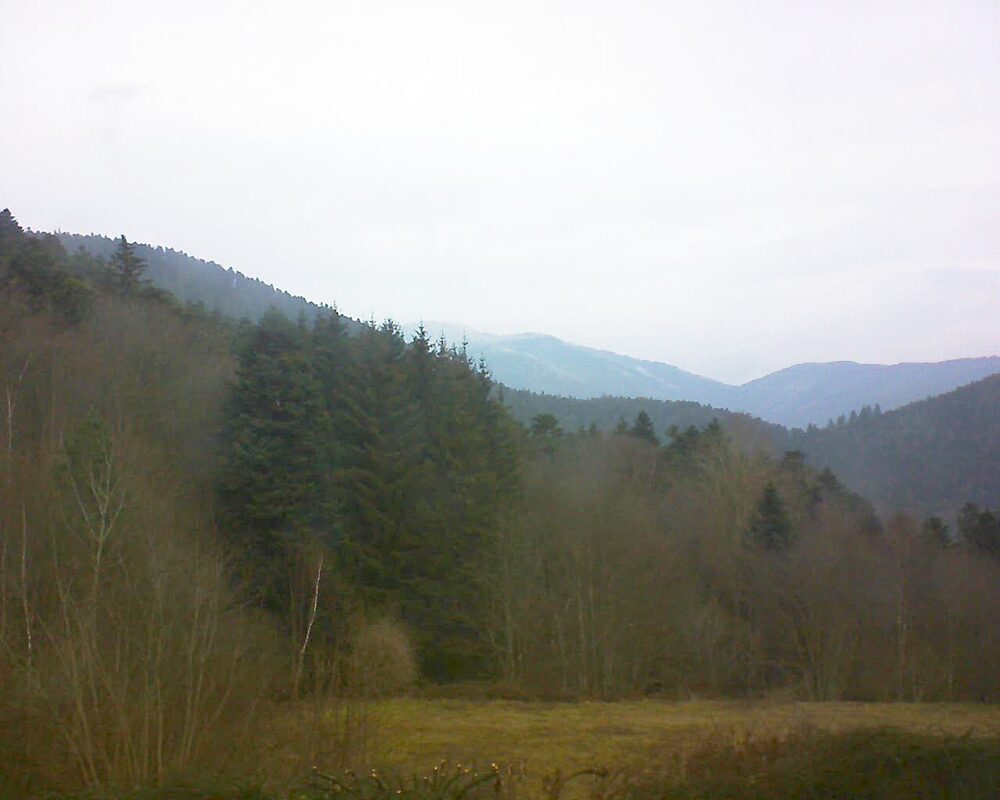 Le petit ballon (Alsace, Vosges) le 07.02.2025 à 10:30