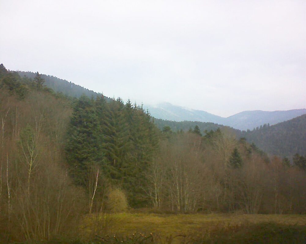 Le petit ballon (Alsace, Vosges) le 07.02.2025 à 11:15