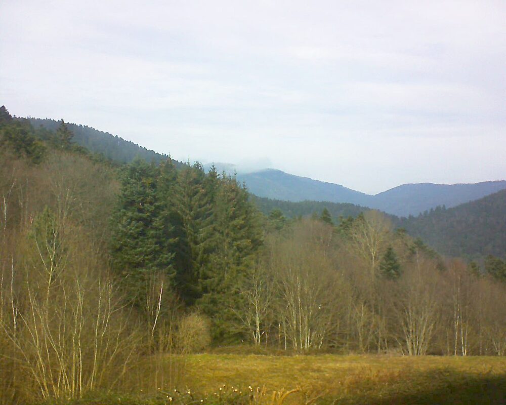 Le petit ballon (Alsace, Vosges) le 07.02.2025 à 13:15