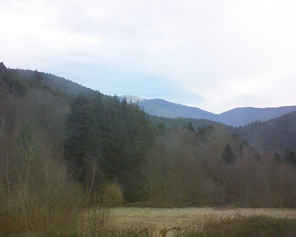 Le petit ballon vu depuis le Domaine Langmatt à Murbach le 08.02.2025 à 08:30 Le petit ballon (Alsace, Vosges) le 08.02.2025 à 08:30
