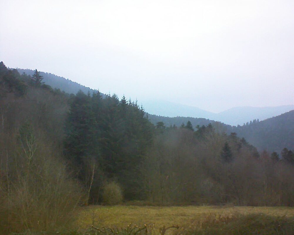 Le petit ballon vu depuis le Domaine Langmatt à Murbach le 09.02.2025 à 08:30 Le petit ballon (Alsace, Vosges) le 09.02.2025 à 08:30