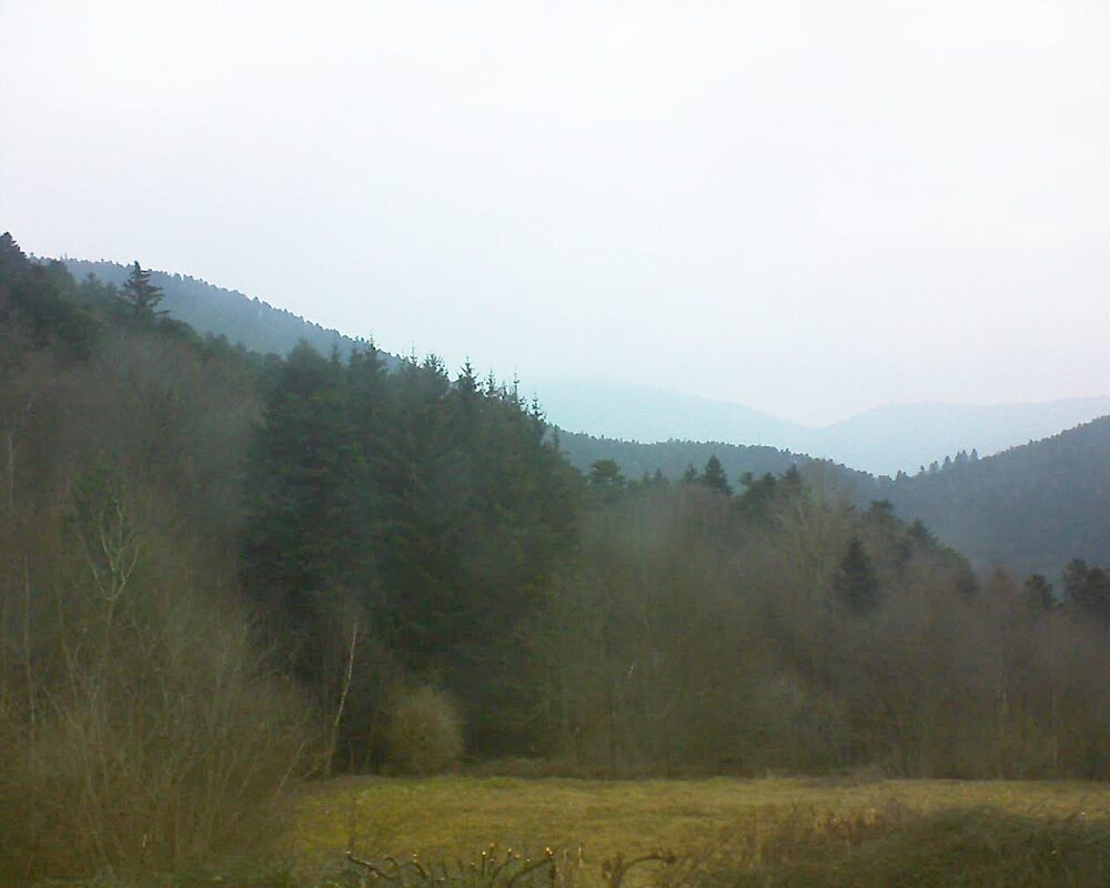 Le petit ballon vu depuis le Domaine Langmatt à Murbach le 09.02.2025 à 08:45 Le petit ballon (Alsace, Vosges) le 09.02.2025 à 08:45