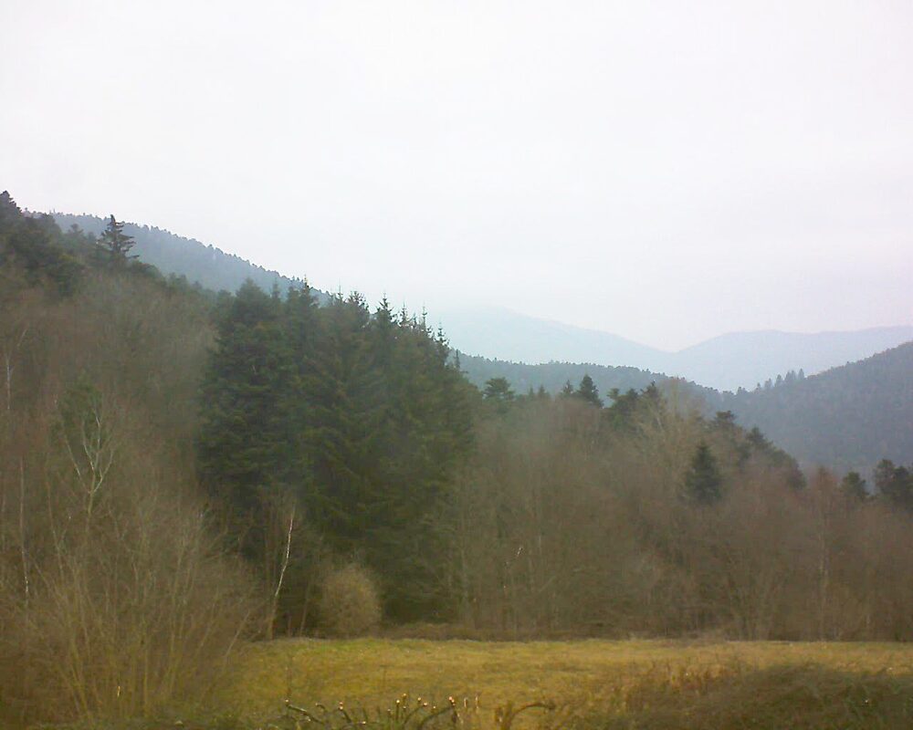 Le petit ballon vu depuis le Domaine Langmatt à Murbach le 09.02.2025 à 11:30 Le petit ballon (Alsace, Vosges) le 09.02.2025 à 11:30