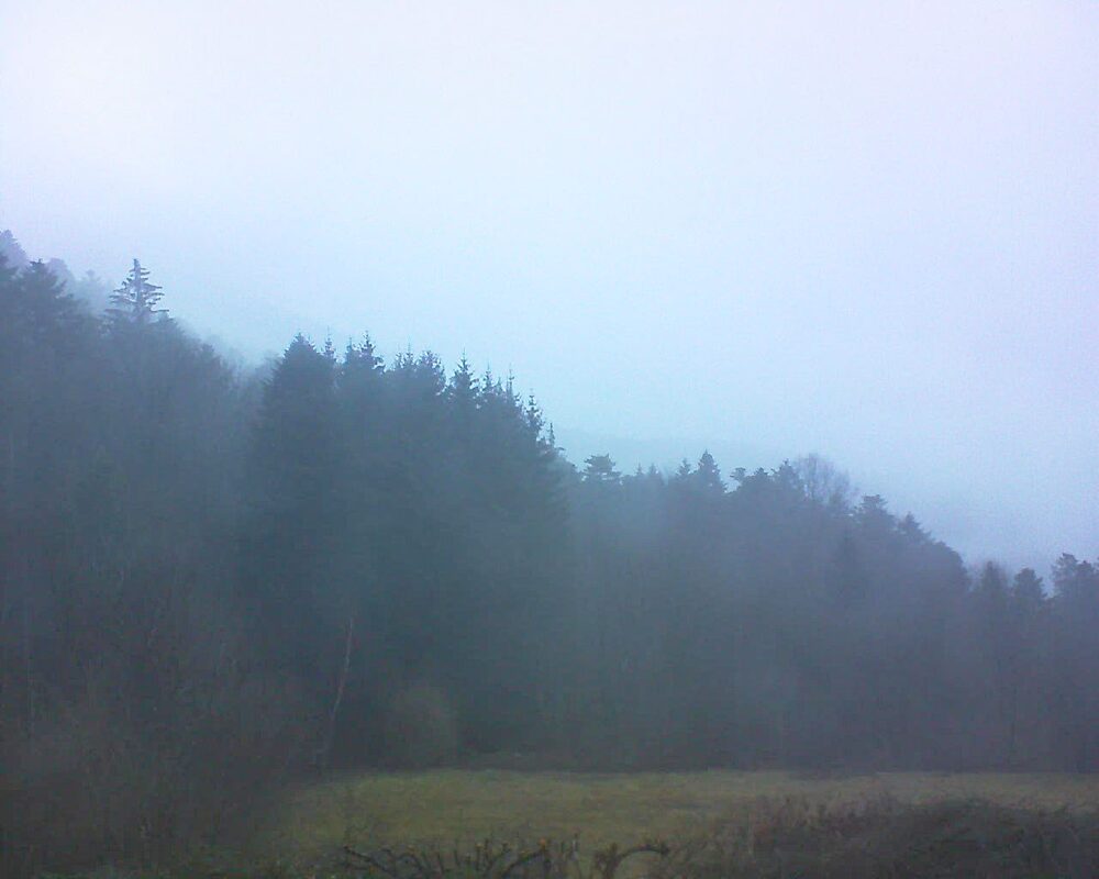 Le petit ballon vu depuis le Domaine Langmatt à Murbach le 10.02.2025 à 08:30 Le petit ballon (Alsace, Vosges) le 10.02.2025 à 08:30