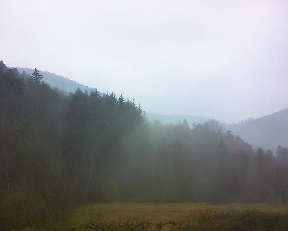 Le petit ballon vu depuis le Domaine Langmatt à Murbach le 10.02.2025 à 10:15 Le petit ballon (Alsace, Vosges) le 10.02.2025 à 10:15