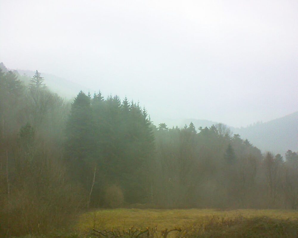 Le petit ballon (Alsace, Vosges) le 10.02.2025 à 10:30