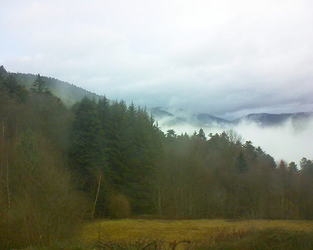 Le petit ballon vu depuis le Domaine Langmatt à Murbach le 12.02.2025 à 08:30 Le petit ballon (Alsace, Vosges) le 12.02.2025 à 08:30