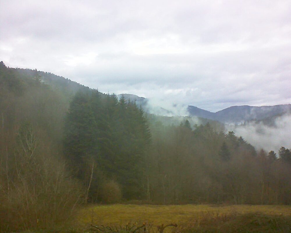 Le petit ballon (Alsace, Vosges) le 12.02.2025 à 10:30