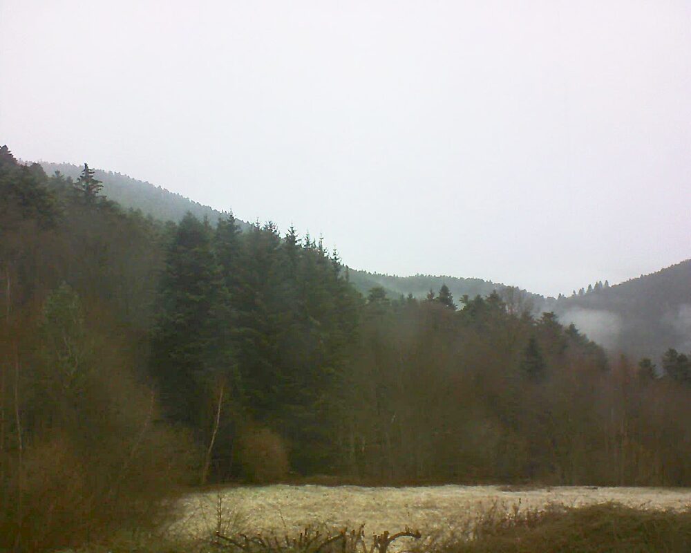 Le petit ballon vu depuis le Domaine Langmatt à Murbach le 13.02.2025 à 10:30 Le petit ballon (Alsace, Vosges) le 13.02.2025 à 10:30