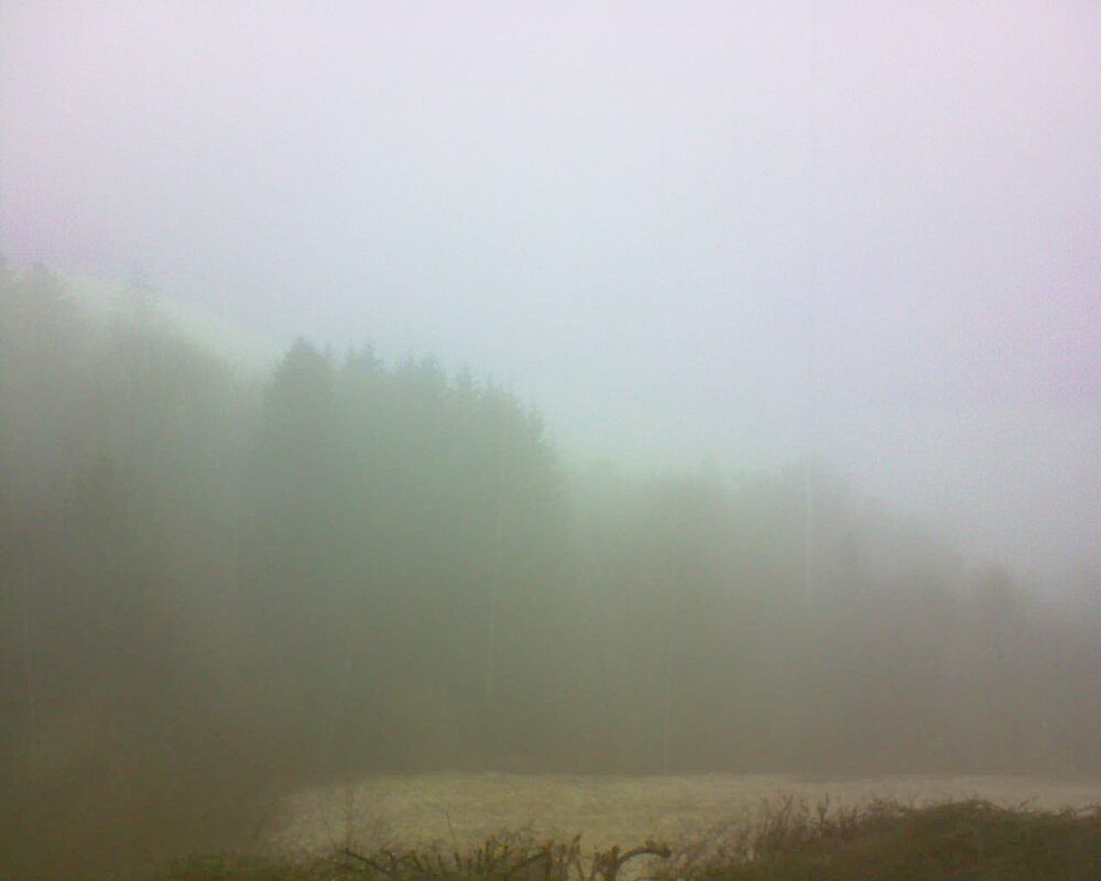 Le petit ballon (Alsace, Vosges) le 13.02.2025 à 10:45