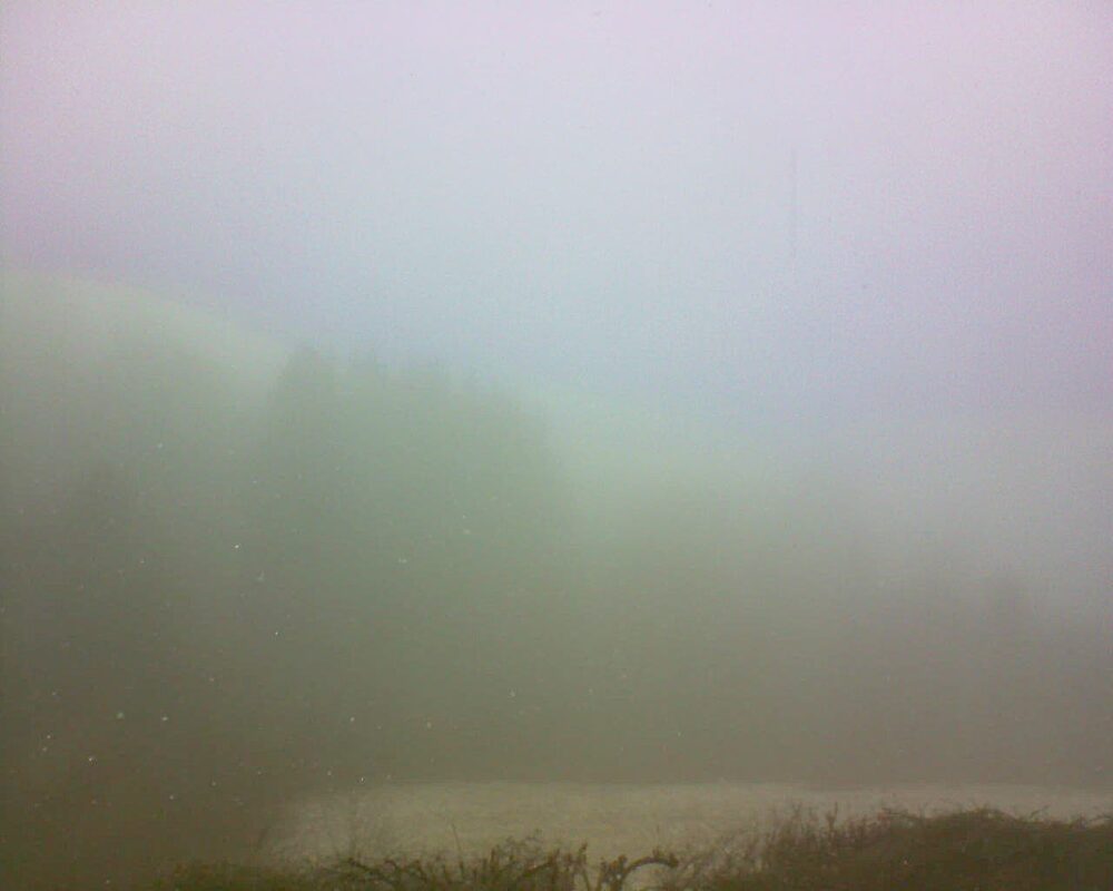 Le petit ballon (Alsace, Vosges) le 13.02.2025 à 11:30