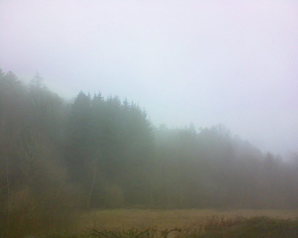 Le petit ballon (Alsace, Vosges) le 13.02.2025 à 14:15