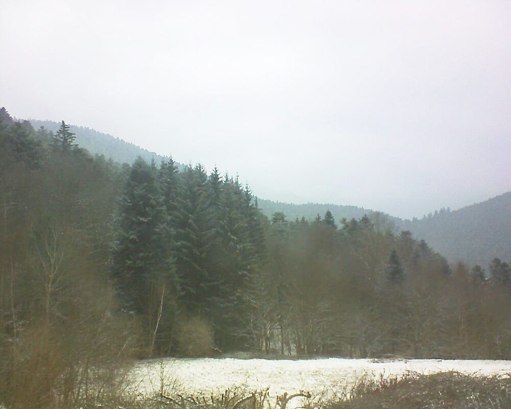 Le petit ballon vu depuis le Domaine Langmatt à Murbach le 14.02.2025 à 10:15 Le petit ballon (Alsace, Vosges) le 14.02.2025 à 10:15
