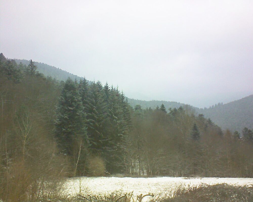Le petit ballon (Alsace, Vosges) le 14.02.2025 à 10:30