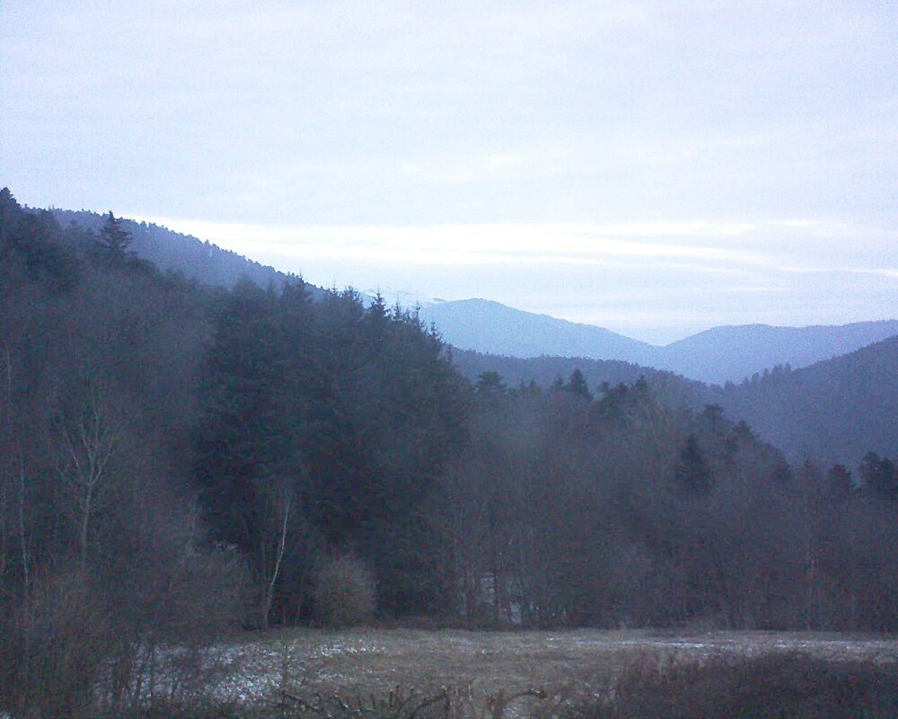 Le petit ballon (Alsace, Vosges) le 16.02.2025 à 07:30