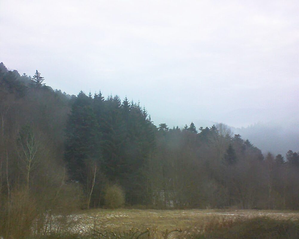 Le petit ballon vu depuis le Domaine Langmatt à Murbach le 16.02.2025 à 08:45 Le petit ballon (Alsace, Vosges) le 16.02.2025 à 08:45