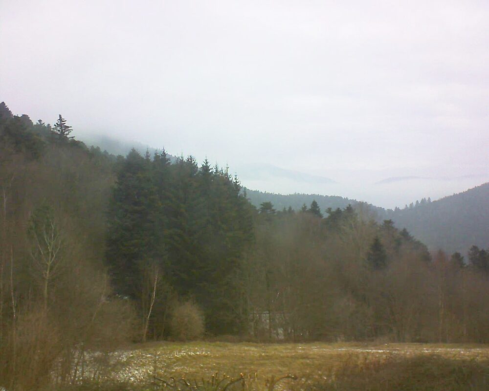 Le petit ballon vu depuis le Domaine Langmatt à Murbach le 16.02.2025 à 10:15 Le petit ballon (Alsace, Vosges) le 16.02.2025 à 10:15
