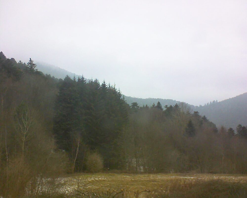 Le petit ballon vu depuis le Domaine Langmatt à Murbach le 16.02.2025 à 10:30 Le petit ballon (Alsace, Vosges) le 16.02.2025 à 10:30