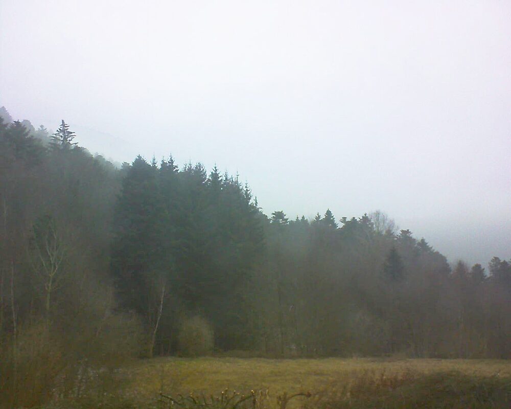 Le petit ballon vu depuis le Domaine Langmatt à Murbach le 17.02.2025 à 08:45 Le petit ballon (Alsace, Vosges) le 17.02.2025 à 08:45