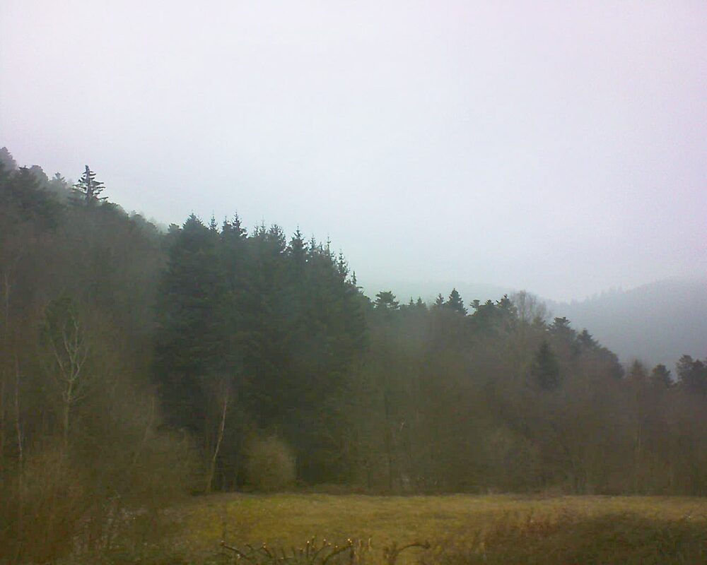 Le petit ballon (Alsace, Vosges) le 17.02.2025 à 09:30
