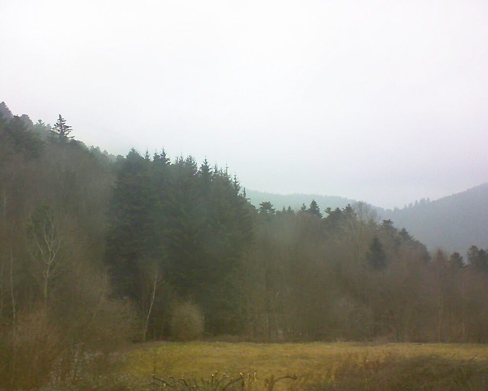 Le petit ballon vu depuis le Domaine Langmatt à Murbach le 17.02.2025 à 10:00 Le petit ballon (Alsace, Vosges) le 17.02.2025 à 10:00