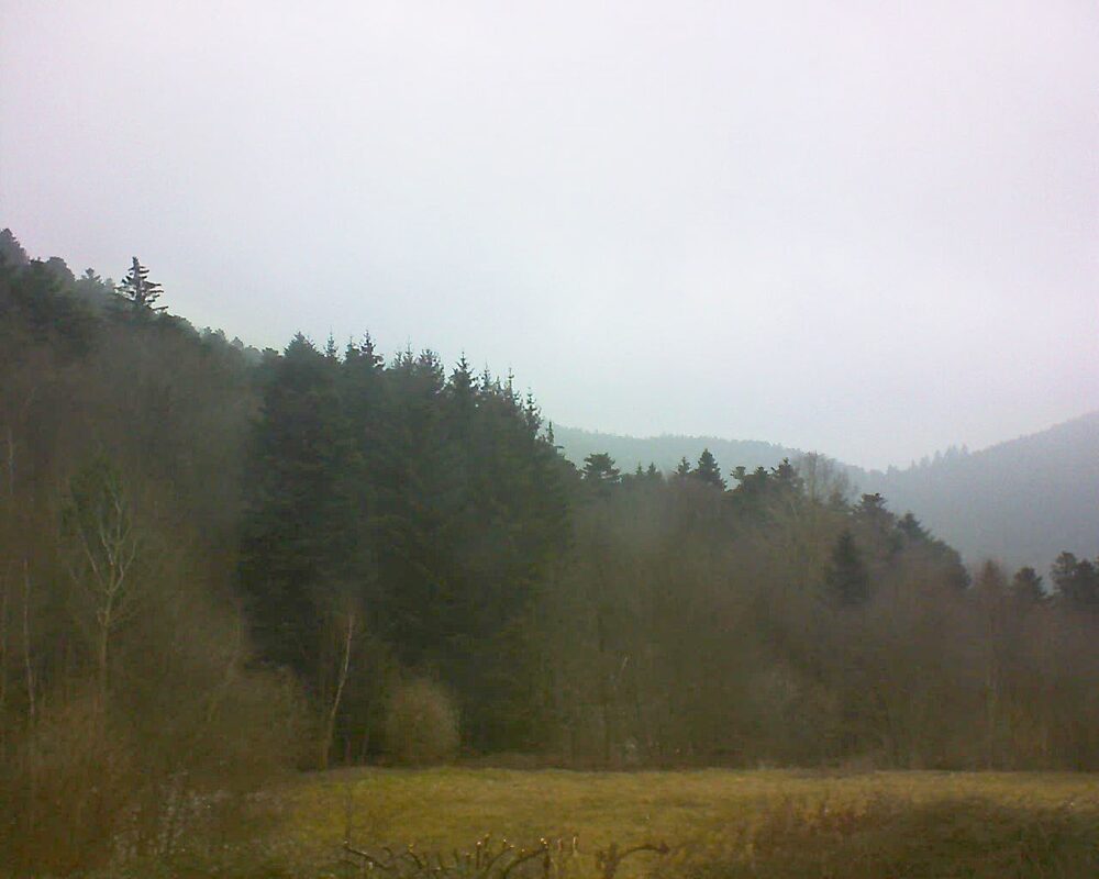 Le petit ballon vu depuis le Domaine Langmatt à Murbach le 17.02.2025 à 10:15 Le petit ballon (Alsace, Vosges) le 17.02.2025 à 10:15