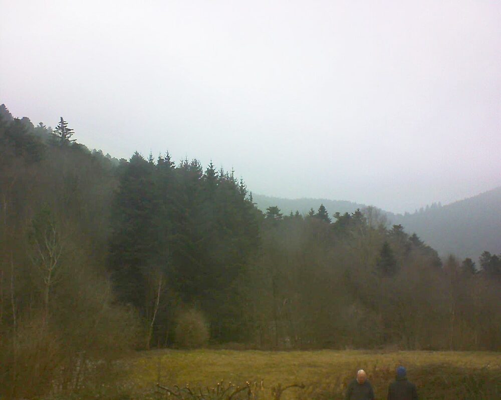 Le petit ballon vu depuis le Domaine Langmatt à Murbach le 17.02.2025 à 10:30 Le petit ballon (Alsace, Vosges) le 17.02.2025 à 10:30