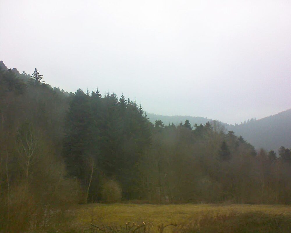 Le petit ballon (Alsace, Vosges) le 17.02.2025 à 10:45