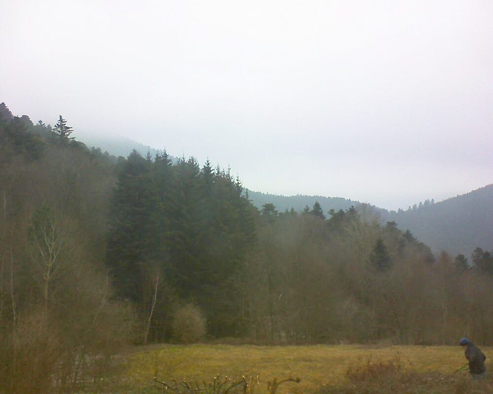 Le petit ballon (Alsace, Vosges) le 17.02.2025 à 11:30