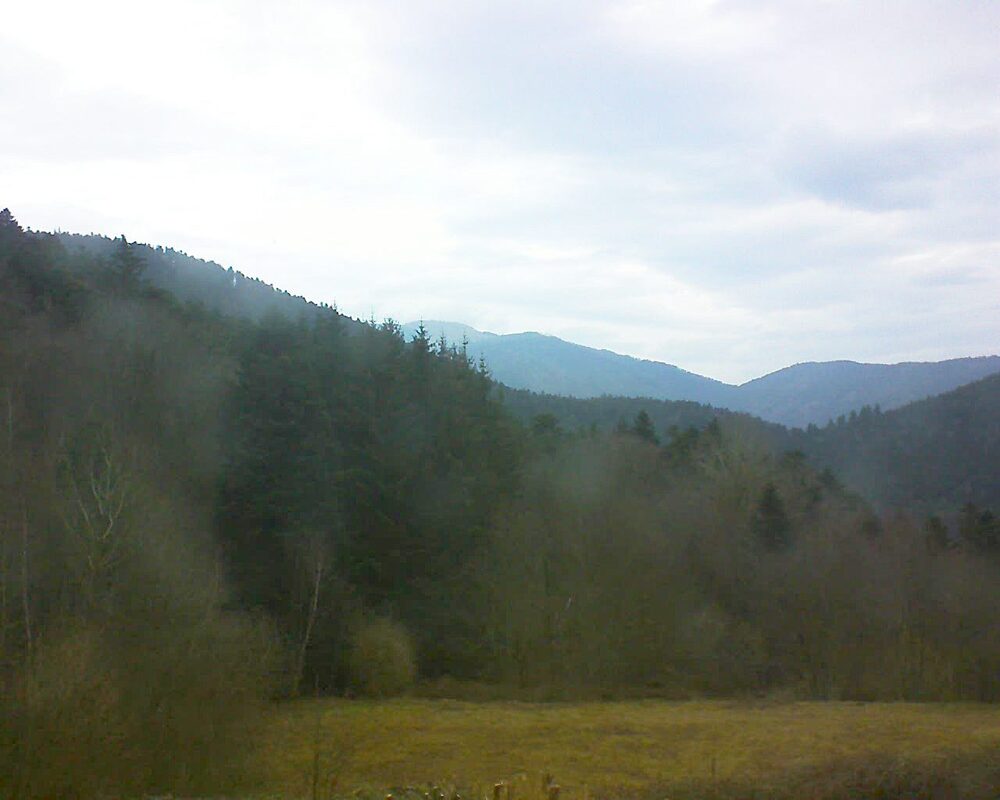 Le petit ballon vu depuis le Domaine Langmatt à Murbach le 20.02.2025 à 08:30 Le petit ballon (Alsace, Vosges) le 20.02.2025 à 08:30