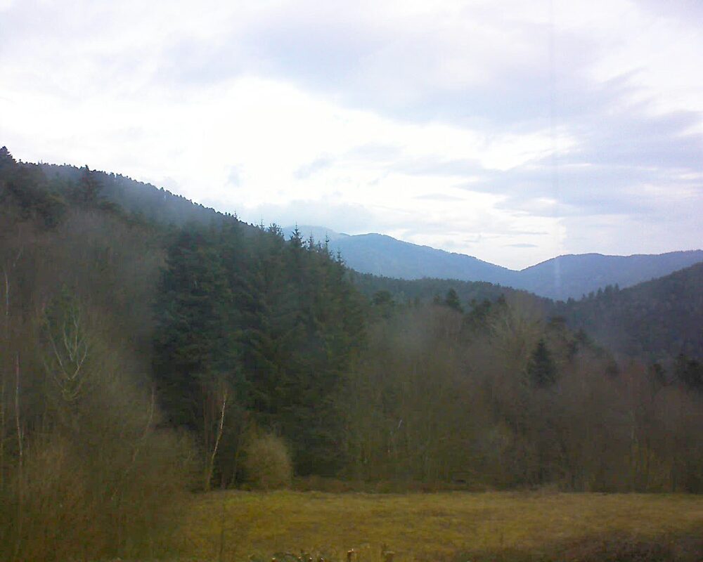Le petit ballon vu depuis le Domaine Langmatt à Murbach le 20.02.2025 à 09:00 Le petit ballon (Alsace, Vosges) le 20.02.2025 à 09:00