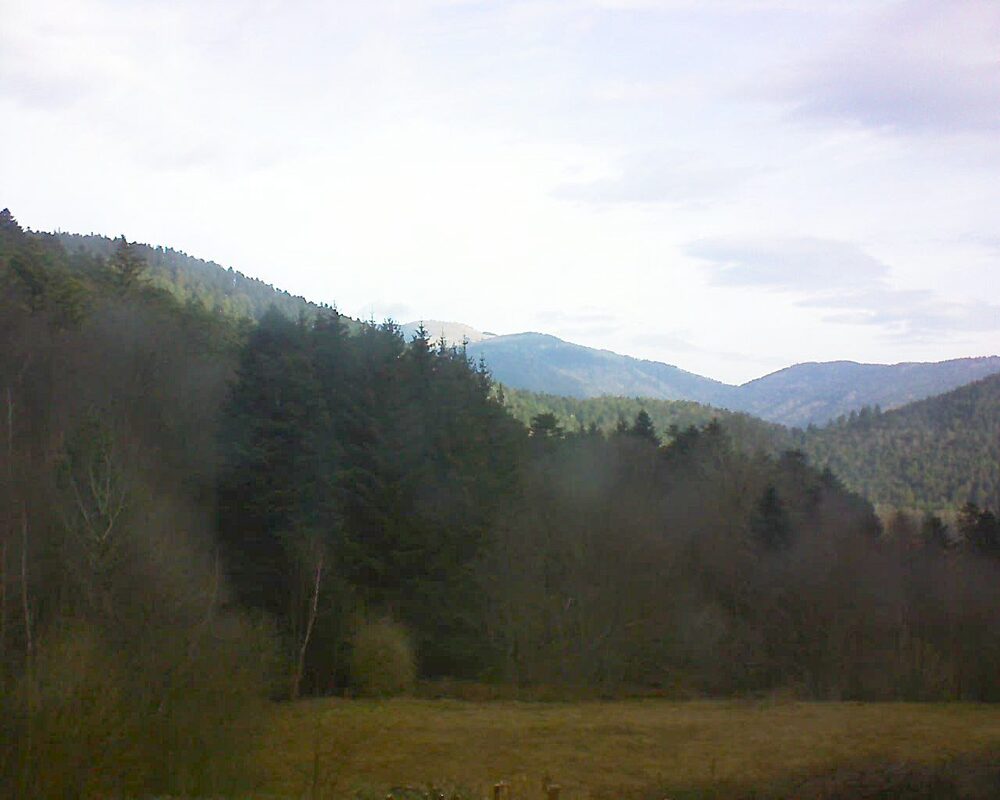 Le petit ballon vu depuis le Domaine Langmatt à Murbach le 20.02.2025 à 09:45 Le petit ballon (Alsace, Vosges) le 20.02.2025 à 09:45