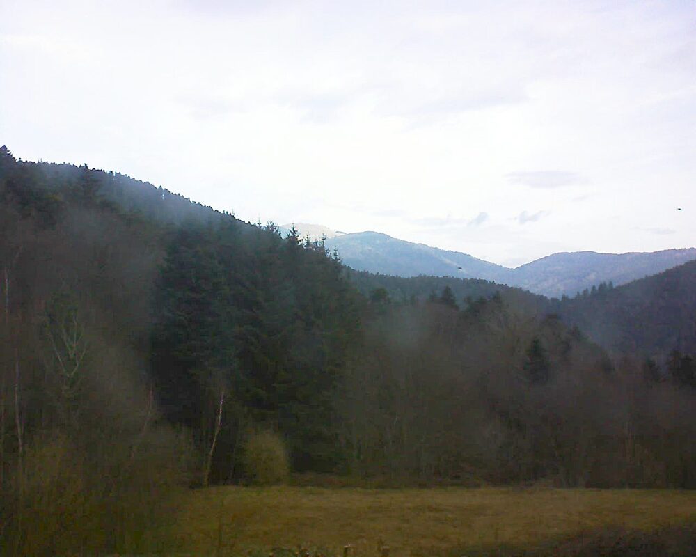 Le petit ballon (Alsace, Vosges) le 20.02.2025 à 10:00