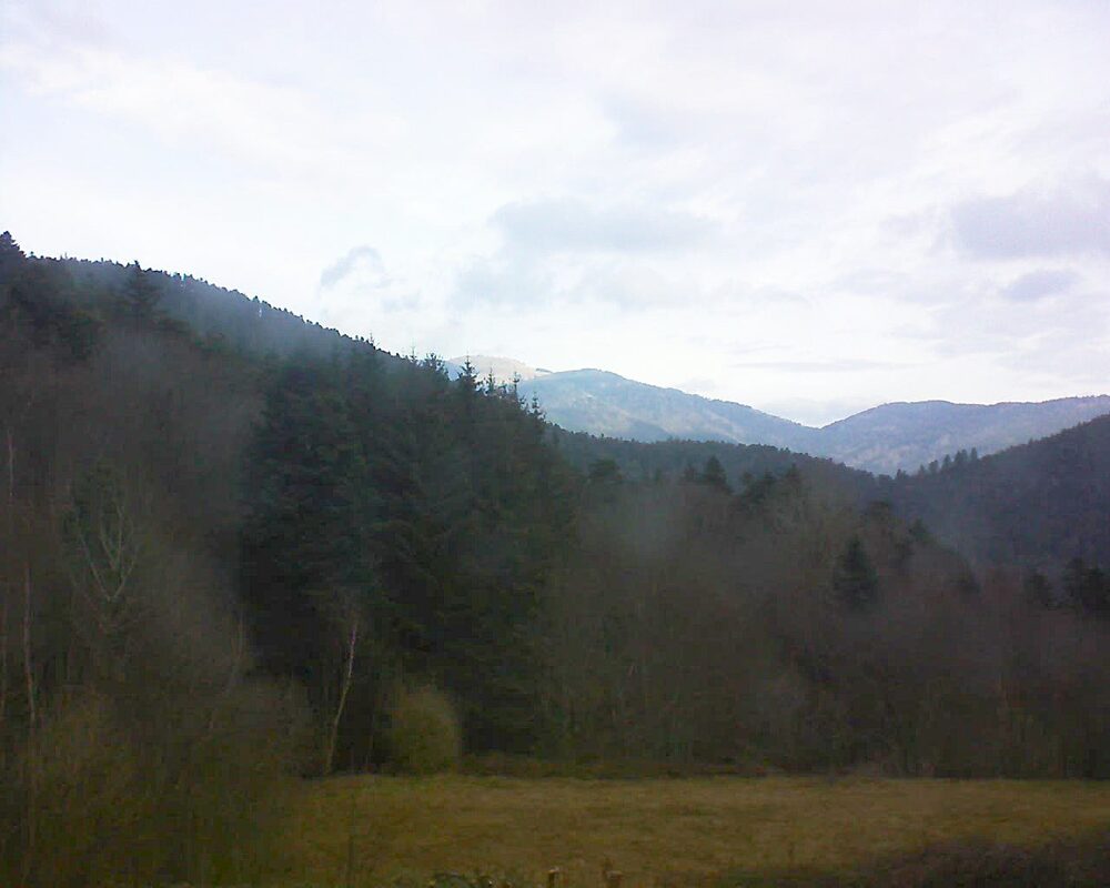 Le petit ballon (Alsace, Vosges) le 20.02.2025 à 10:15