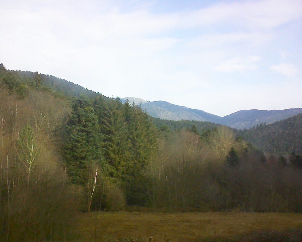 Le petit ballon vu depuis le Domaine Langmatt à Murbach le 21.02.2025 à 10:15 Le petit ballon (Alsace, Vosges) le 21.02.2025 à 10:15
