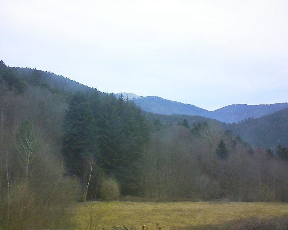Le petit ballon vu depuis le Domaine Langmatt à Murbach le 22.02.2025 à 08:45 Le petit ballon (Alsace, Vosges) le 22.02.2025 à 08:45