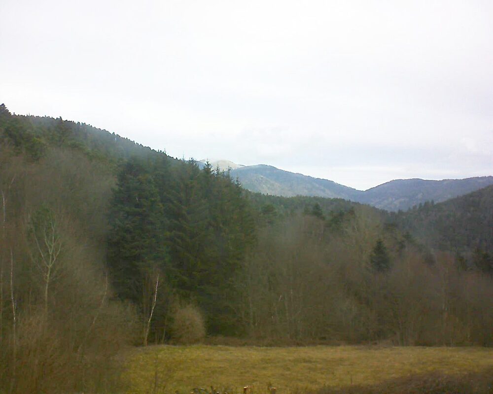 Le petit ballon vu depuis le Domaine Langmatt à Murbach le 23.02.2025 à 09:45 Le petit ballon (Alsace, Vosges) le 23.02.2025 à 09:45