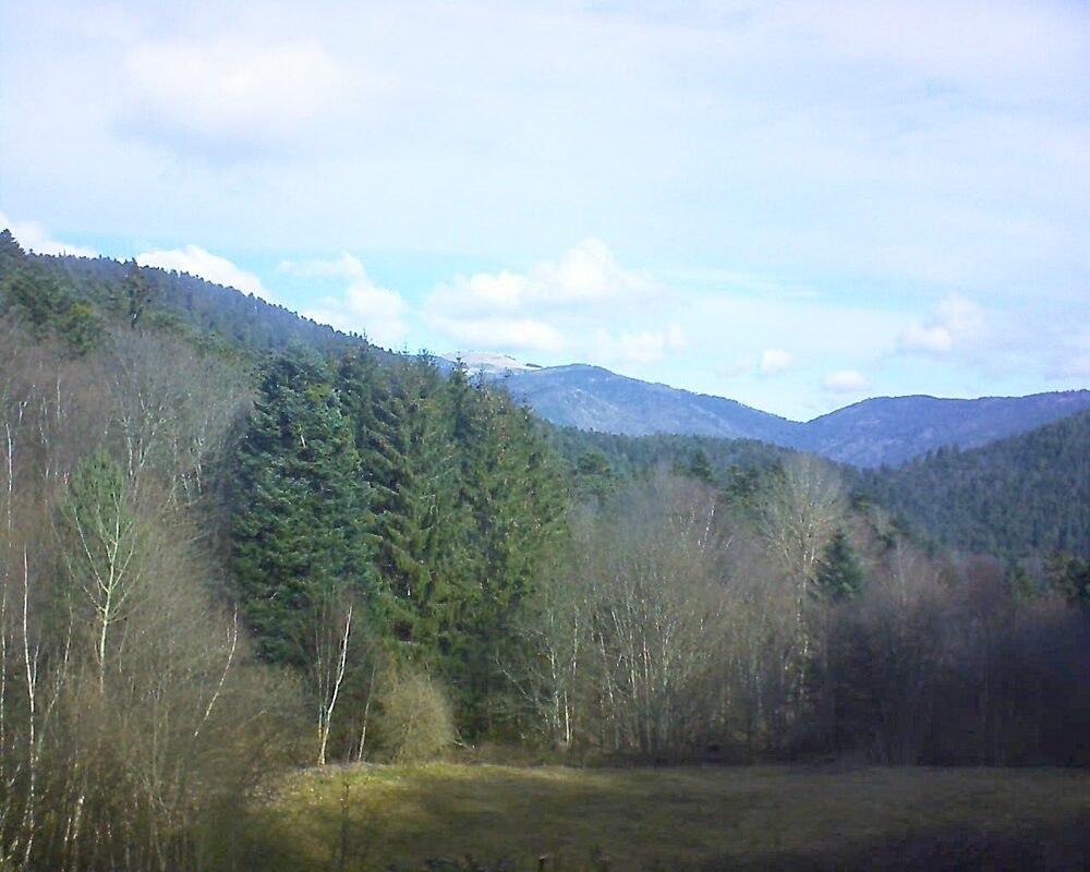 Le petit ballon vu depuis le Domaine Langmatt à Murbach le 23.02.2025 à 10:30 Le petit ballon (Alsace, Vosges) le 23.02.2025 à 10:30