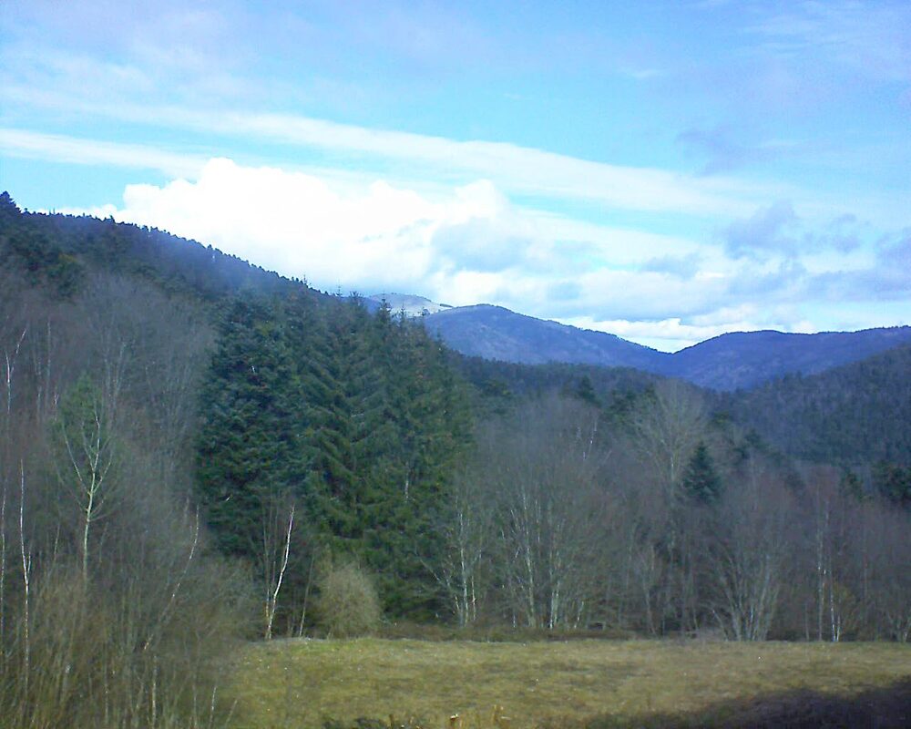 Le petit ballon vu depuis le Domaine Langmatt à Murbach le 23.02.2025 à 11:45 Le petit ballon (Alsace, Vosges) le 23.02.2025 à 11:45
