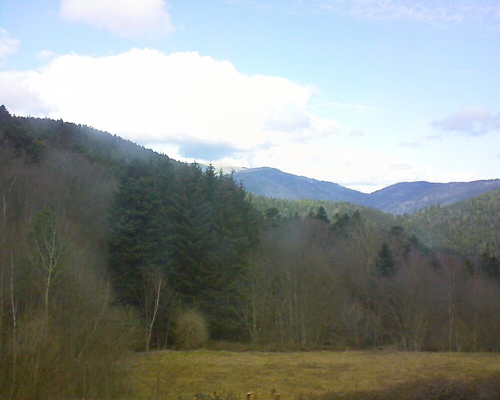 Le petit ballon vu depuis le Domaine Langmatt à Murbach le 23.02.2025 à 12:30 Le petit ballon (Alsace, Vosges) le 23.02.2025 à 12:30
