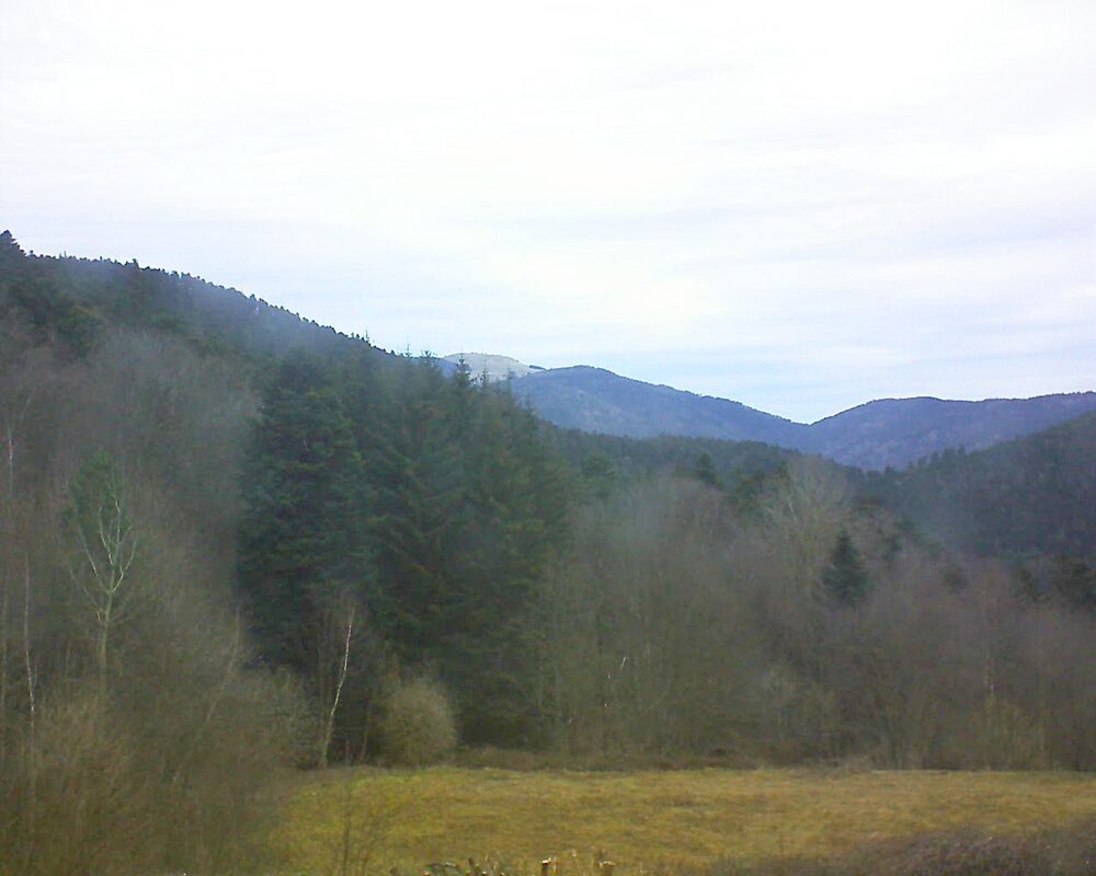 Le petit ballon vu depuis le Domaine Langmatt à Murbach le 24.02.2025 à 08:30 Le petit ballon (Alsace, Vosges) le 24.02.2025 à 08:30