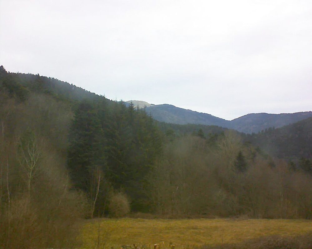 Le petit ballon vu depuis le Domaine Langmatt à Murbach le 24.02.2025 à 10:30 Le petit ballon (Alsace, Vosges) le 24.02.2025 à 10:30