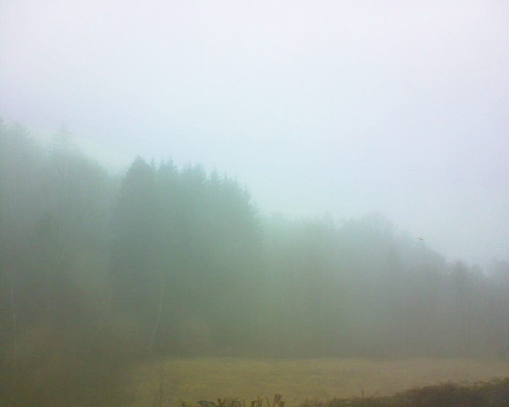 Le petit ballon (Alsace, Vosges) le 25.02.2025 à 08:45