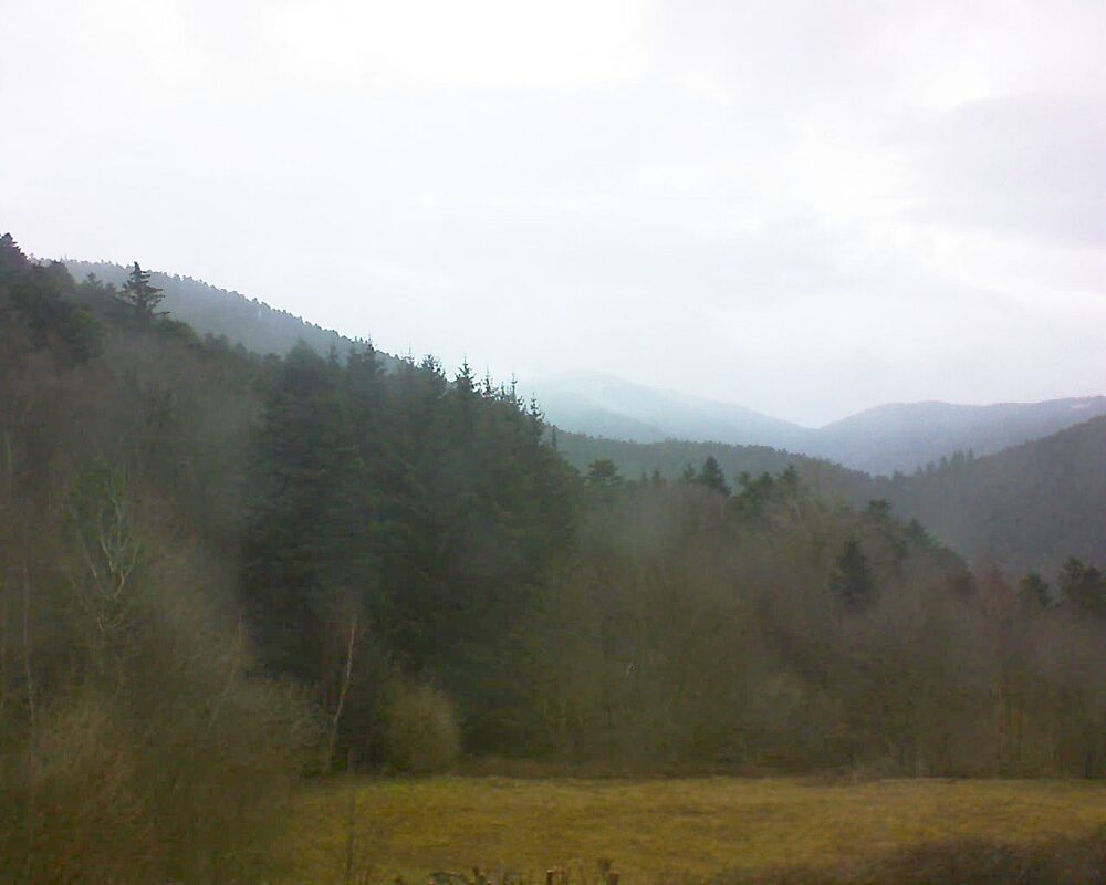 Le petit ballon (Alsace, Vosges) le 26.02.2025 à 09:00