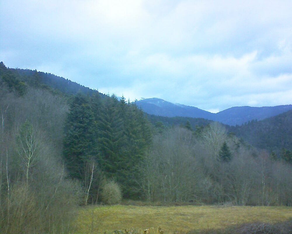 Le petit ballon (Alsace, Vosges) le 26.02.2025 à 11:45