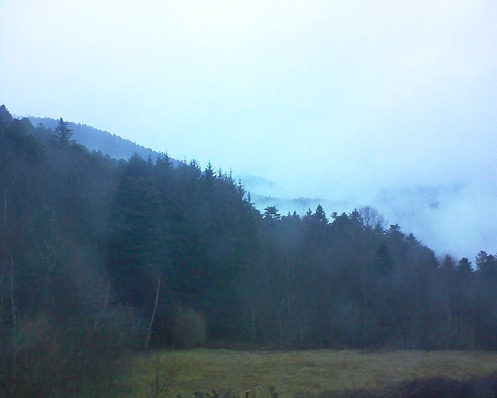 Le petit ballon (Alsace, Vosges) le 27.02.2025 à 07:30