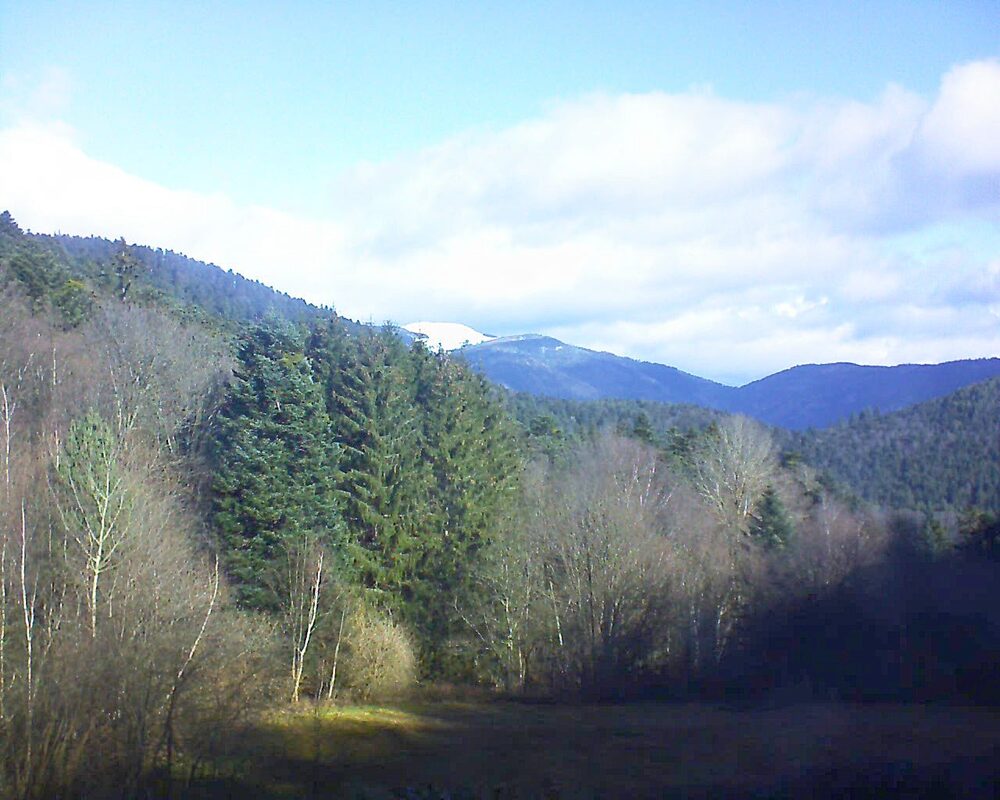 Le petit ballon vu depuis le Domaine Langmatt à Murbach le 27.02.2025 à 10:15 Le petit ballon (Alsace, Vosges) le 27.02.2025 à 10:15