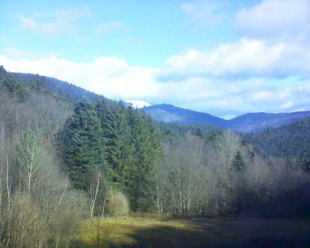 Le petit ballon vu depuis le Domaine Langmatt à Murbach le 27.02.2025 à 10:30 Le petit ballon (Alsace, Vosges) le 27.02.2025 à 10:30