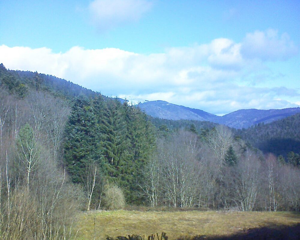 Le petit ballon vu depuis le Domaine Langmatt à Murbach le 27.02.2025 à 11:15 Le petit ballon (Alsace, Vosges) le 27.02.2025 à 11:15